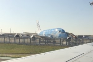 オーストリア新婚旅行その1:国内移動編