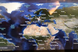 オーストリア新婚旅行その3:オーストリア航空機内編
