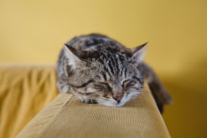 非公開: 寝具無しで寝るなんてあり得ない